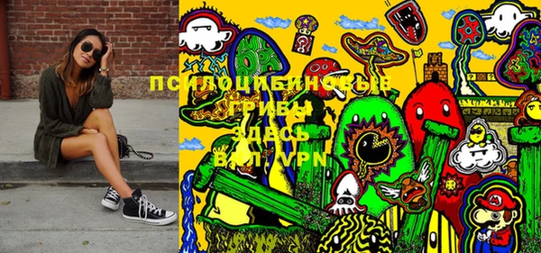 герыч Бронницы