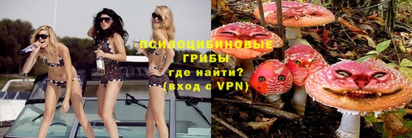 СК Бородино